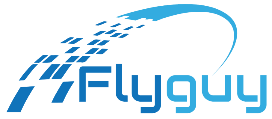 לוגו Fly Guy